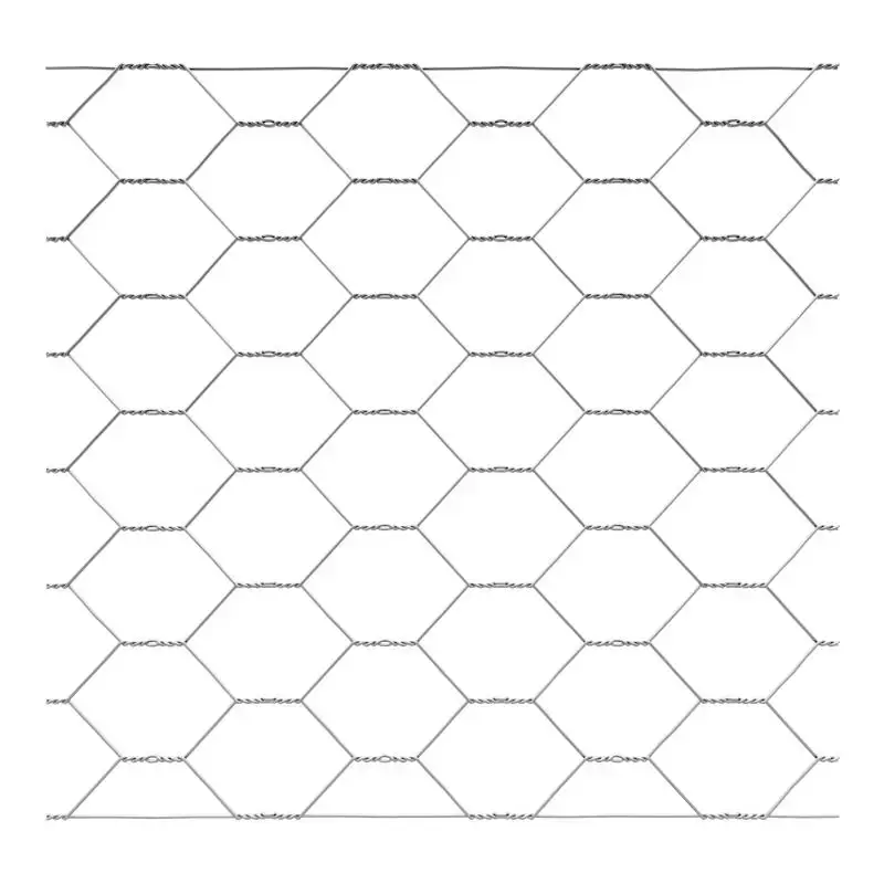 Tela Hexagonal — Tela hexagonal galvanizada para aviários, viveiros e hortas